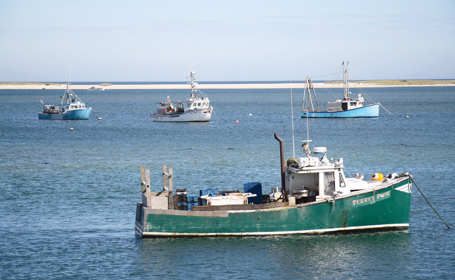 Brackish Waters: Cape Cod Commercial Fishermen's Alliance