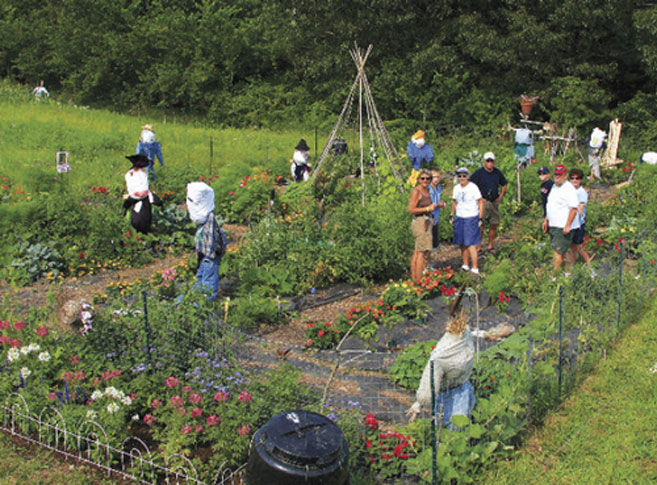 people working in community gardens