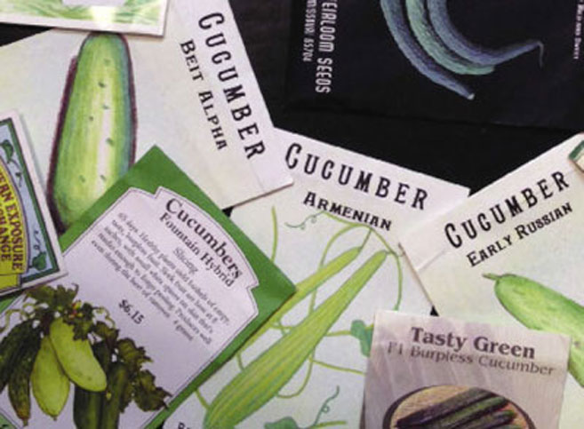 different varieties of cucumber seed packets for growing