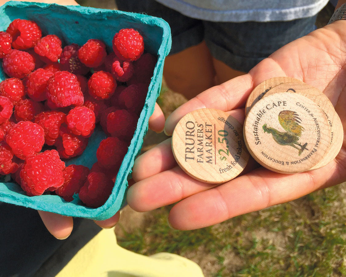 Truro Farmers Market SNAP coins doubled by Sustainable Cape Cod