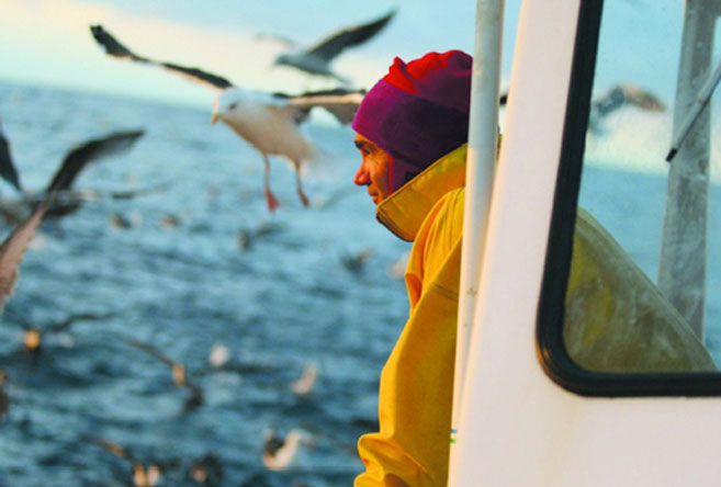 man looking out a seagulls as he is tub trawling on a boat