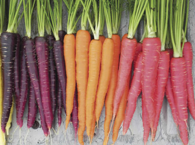 rainbow colored carrots