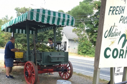 P&D Fruit is a seasonal farm stand perfect for picking up local corn, tomatoes and peaches.