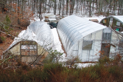 Damaged Greenhouses