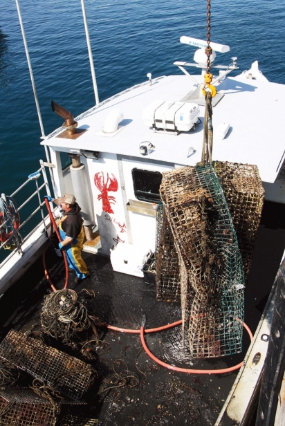 A lobster trap tag from a sunken Newport-based boat was discovered