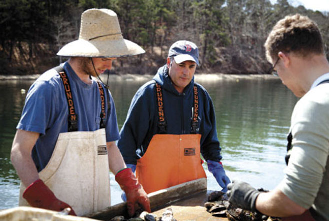 men catch and shuck oysters at Washburn Island Oysters in Cape Cod