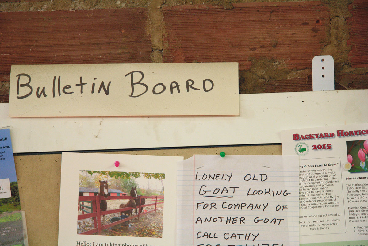 The rise of recreational farming