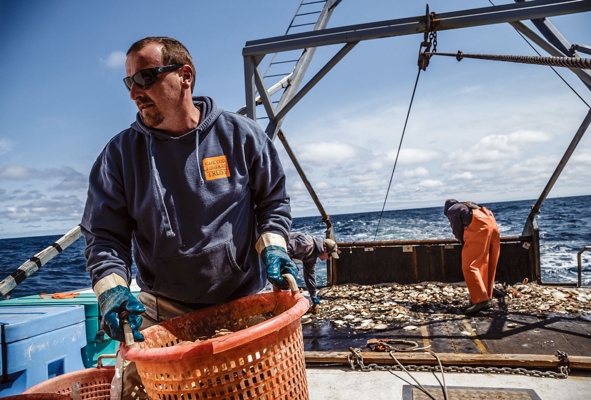 Harvesting Sea Scallops