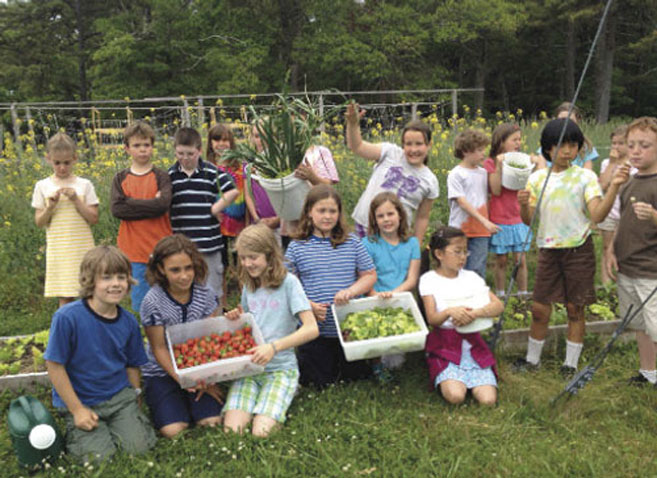 Kids at the Waldorf School in Cape Cod garden for school lunch