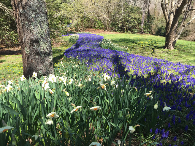 Heritage Museum and Gardens has more than 100 acres of display gardens that feature flowers, trees and shrubs native to Cape Cod. 