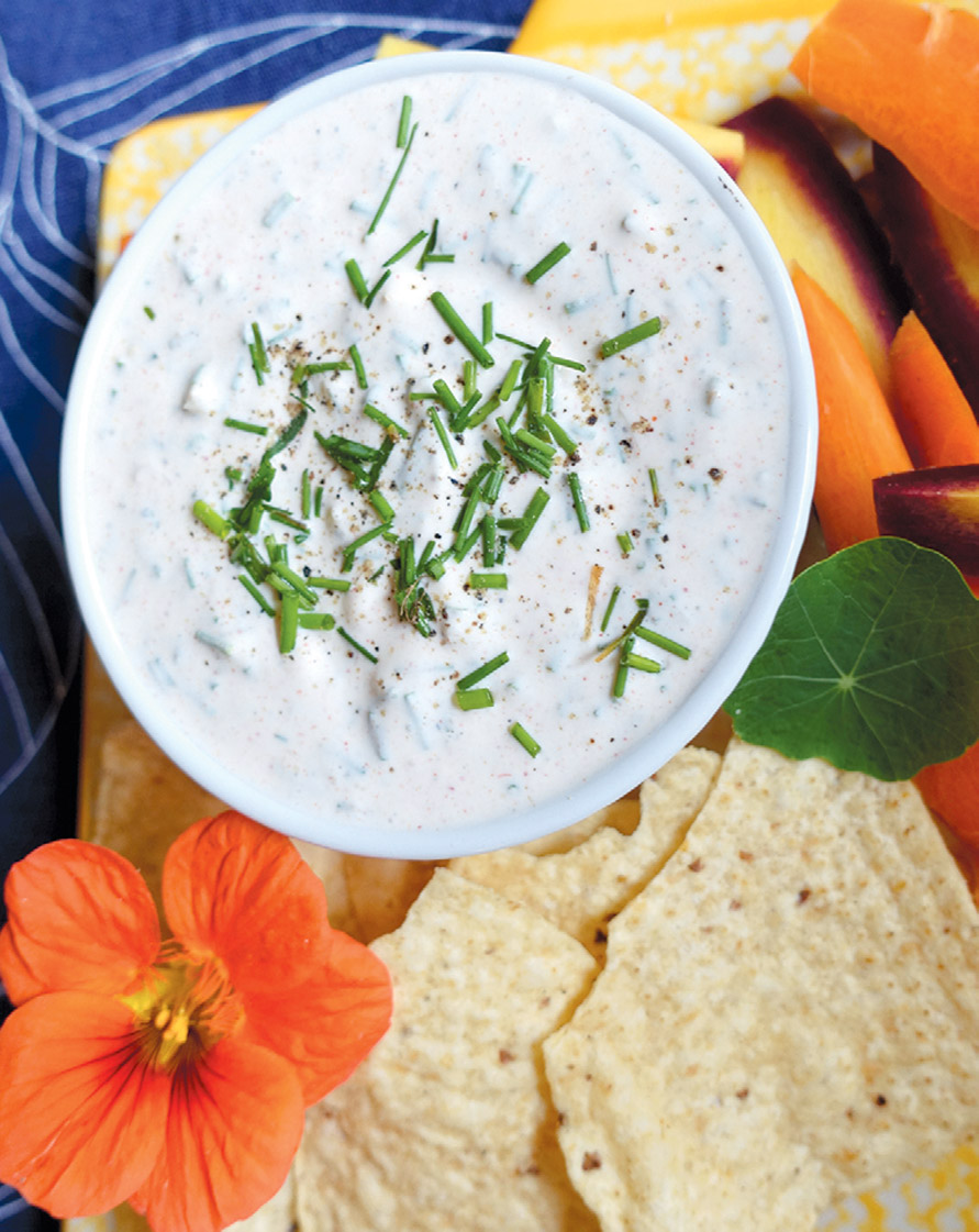creamy-field-1.jpg