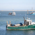 brackish-waters-1.jpg