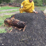 mounding-evidence-1.jpg