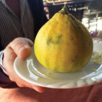 cooking-with-carafoli.jpg