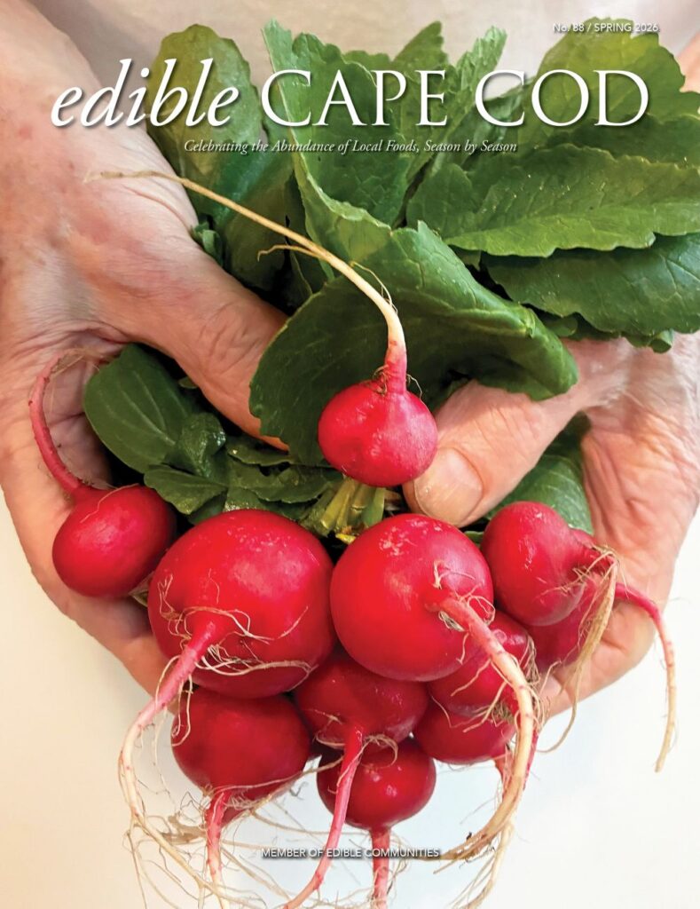 Spring 2026 cover