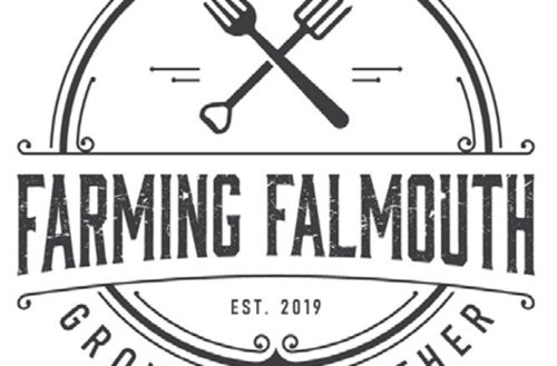 farming-falmouth-film-1.jpg